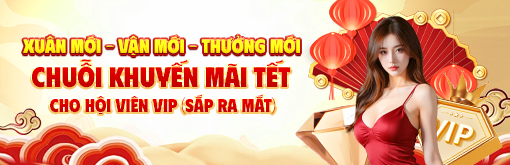 Khuyến mãi Tết